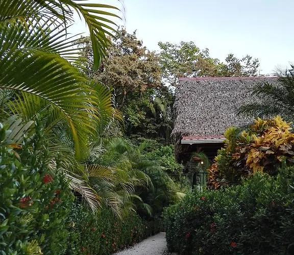 Aparthotel Paraiso Sámara