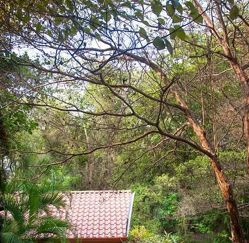 Aparthotel Paraiso Sámara