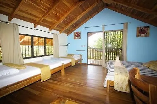 Paraiso 2*