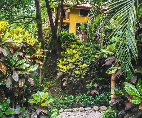 Paraiso Sámara